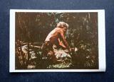 Tarzan kuva no 21 Purkkakuva