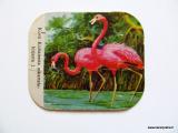 Rengas Kahvi Flamingo kuvattu keräilykuva