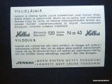 Katso tysikokoinen kuva