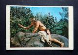 Tarzan kuva no 36 Purkkakuva Hellas Tarzan purkkakuva 0,75€