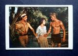 Tarzan kuva no 111 Purkkakuva