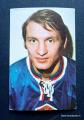 Hellas MM-Jkiekko I no 84 Jaroslav Holik Purkkakuva