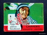 Panda Intiaani no 1 Chippewa intiaanipllikk Purkkakuva