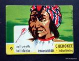 Panda Intiaani no 9 Cherokee Intiaanipllikk Purkkakuva