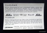 Katso tysikokoinen kuva