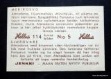 Katso tysikokoinen kuva